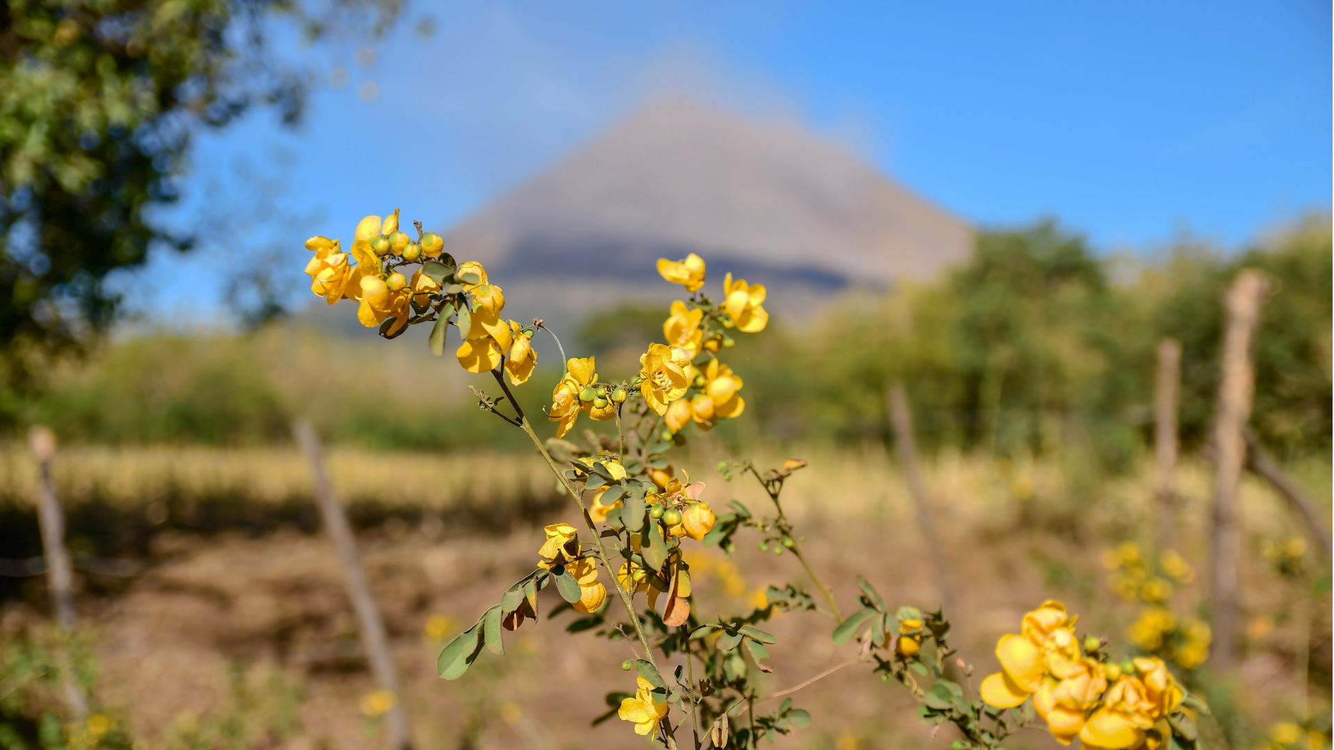 Nines comes to Nicaragua